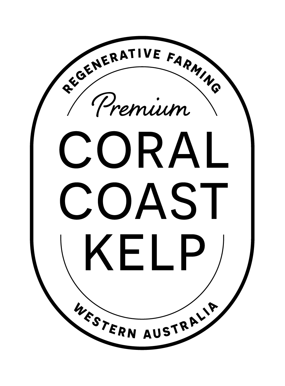 paulmichael_haik