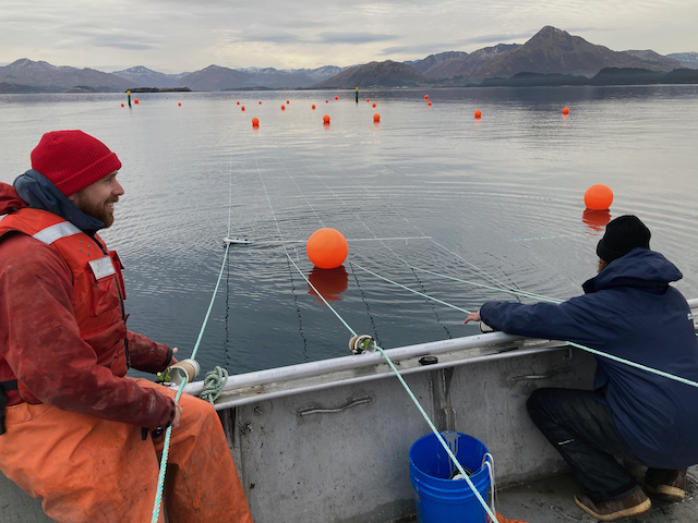 david_bailey david_bailey